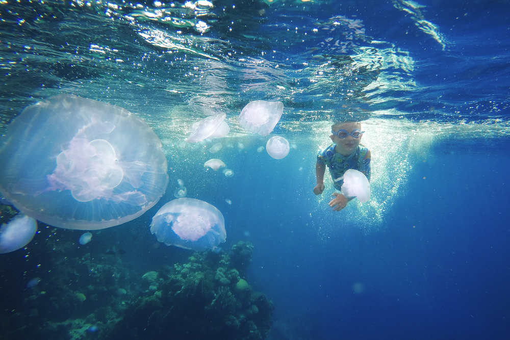 A toddler swimming while wearing goggles while jellyfish are beside him. 