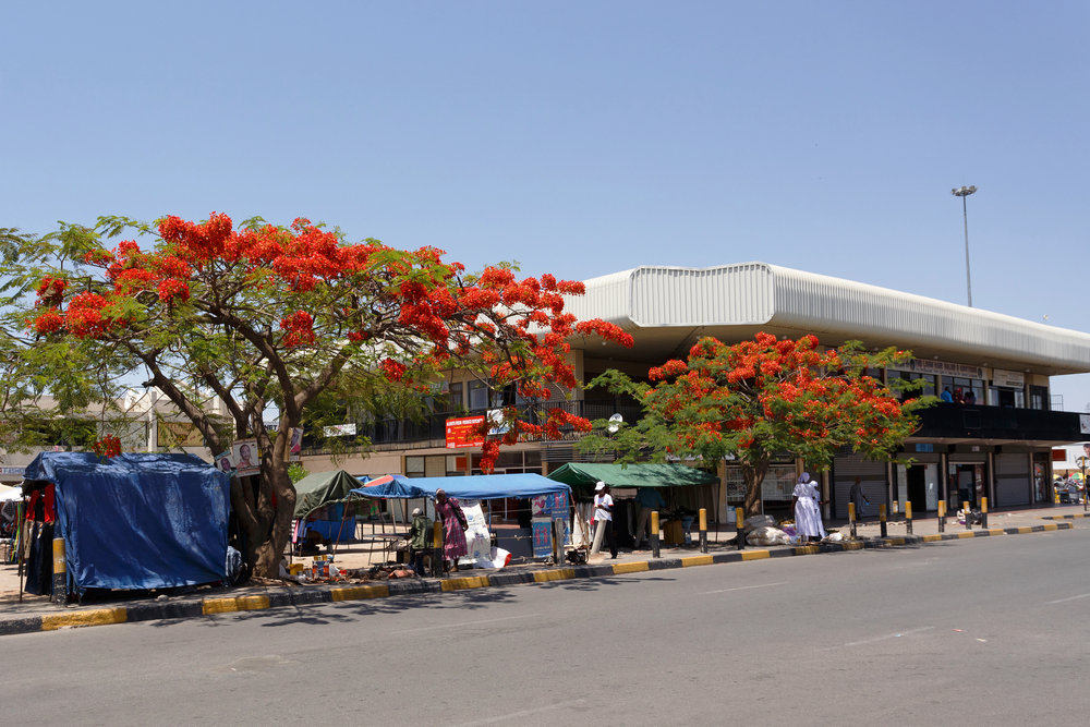 A bush that has orange flowers planted on the side of the street in Francistown, one of the best areas to stay in Botswana, while several people are walking on the sidewalk. 