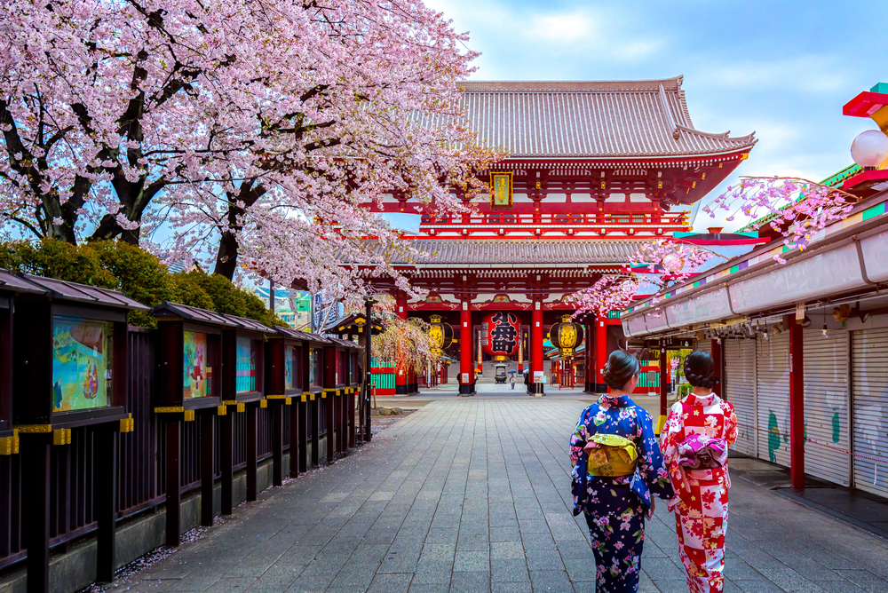 Two women wearing traditional Japanese clothing walking towards a traditional structure where they are seen passing by a sakura tree.
