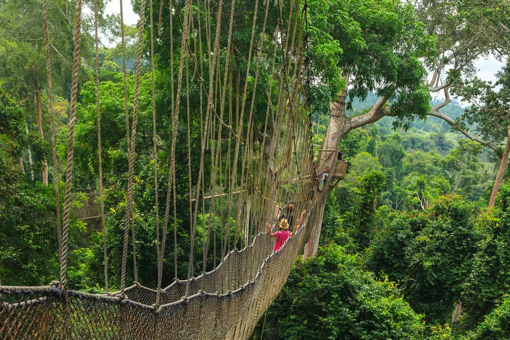 Kakum National Park canopy walk pictured with a suspension bridge over the valley