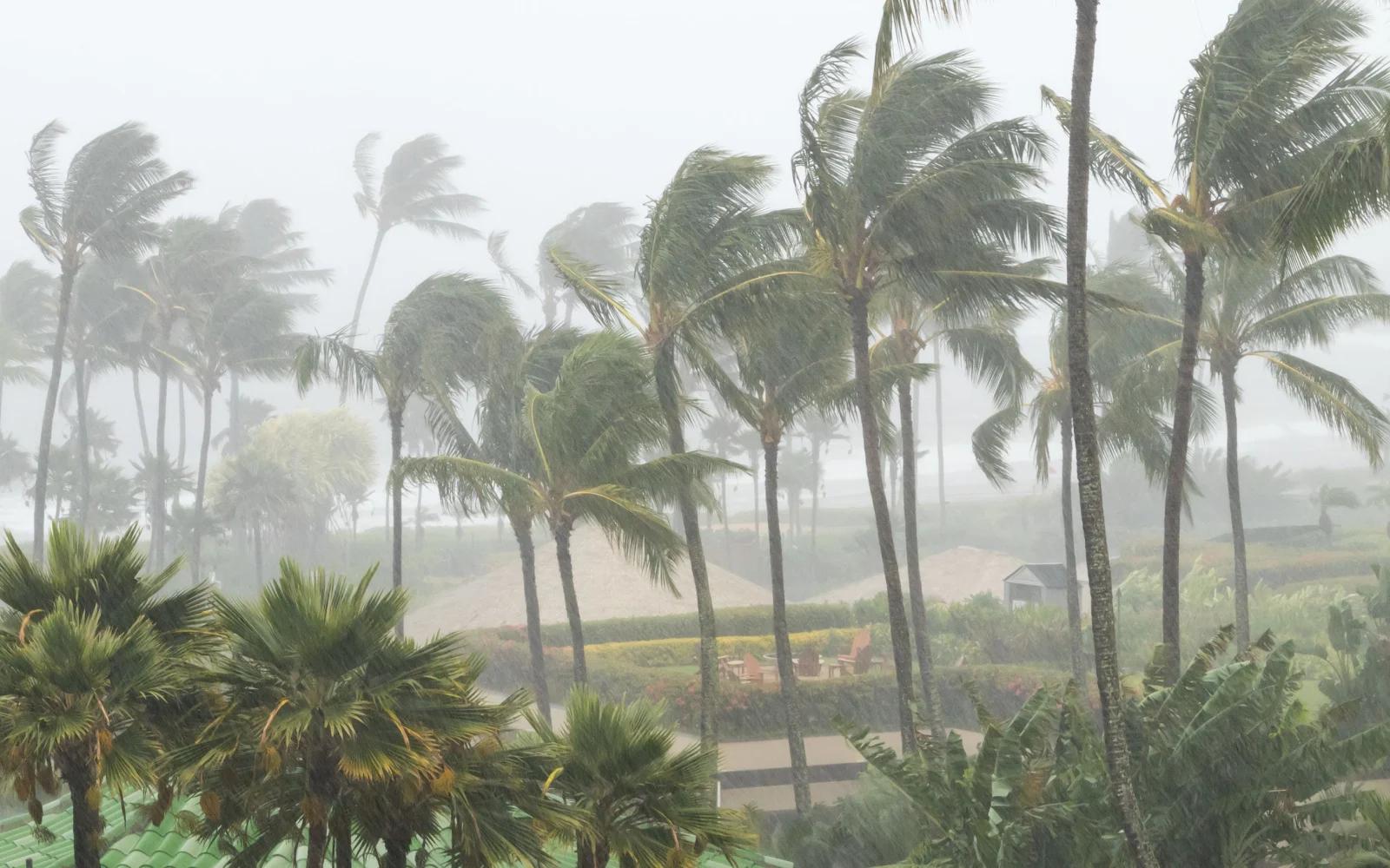 When Is Hurricane Season in the Bahamas? | 2024 Guide