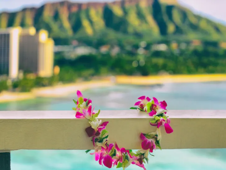 Waikiki Beach and Diamond Head crater view from a balcony with a pink lei for a piece discussing what language do they speak in Hawaii
