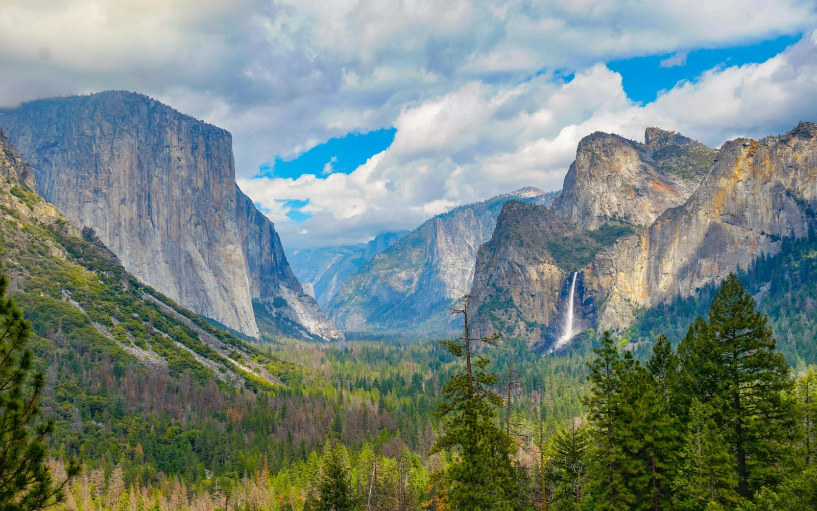 What a Trip to Yosemite Costs in 2024 | Average Prices