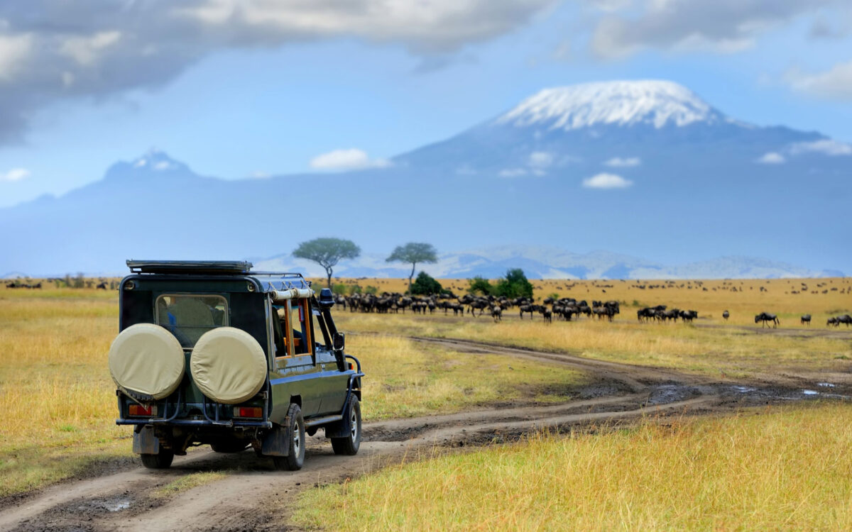 Where To Stay In Kenya In 2024 Best Areas Hotels   Shutterstock 454560490 1200x750 