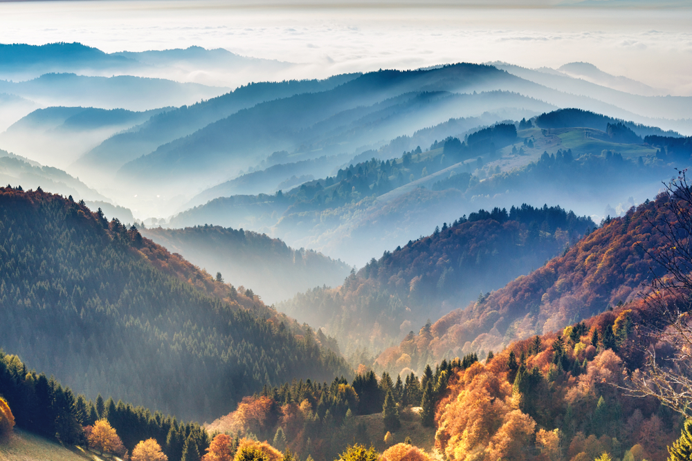 A view of several hills covered by forests during a foggy early meaning on an Autumn season. 