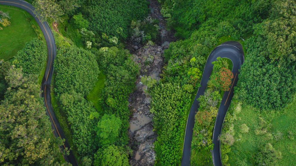 Aerial view of a winding highway with lush trees on both sides.
