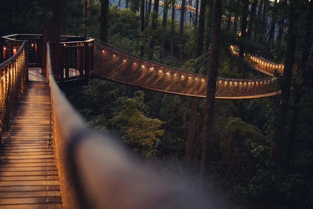A foot bridge connecting trees in a forest with lights during dusk, a section image for a travel guide about trip cost to Gatlinburg.