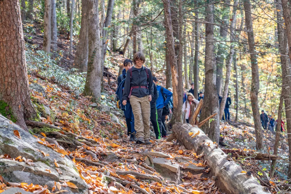 A group of young people walking on a trail in the forest during autumn season, a pick for a travel guide about trip cost to Gatlinburg.
