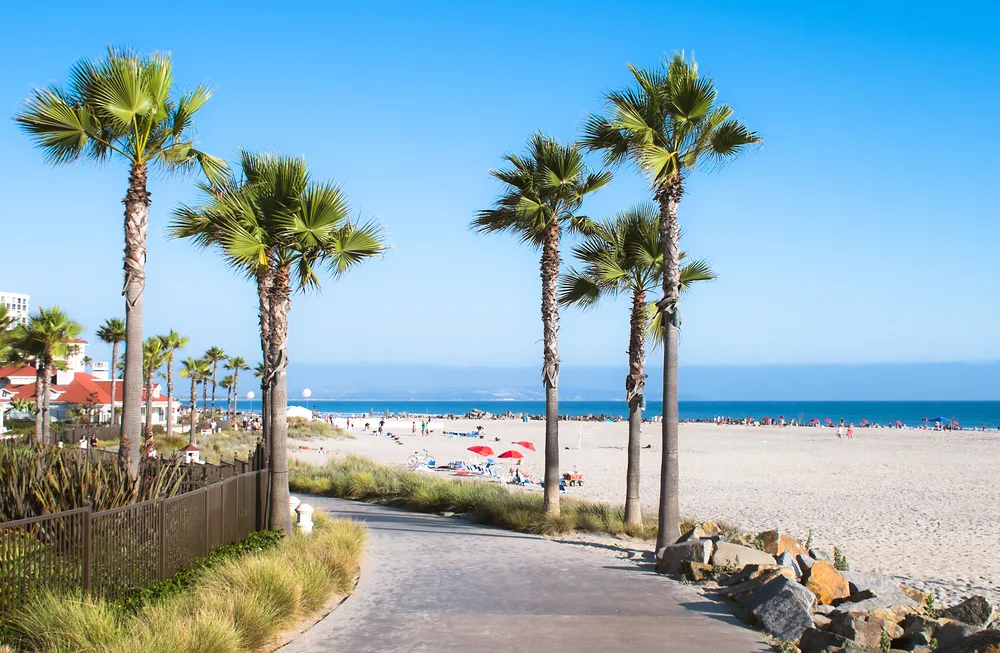 A beach with palm trees where people can be seen enjoying the shore during a calm afternoon, a section image for a travel guide about trip cost to San Diego.