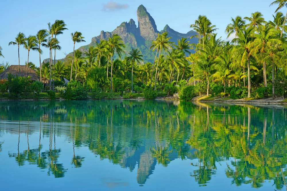 Vibrant green palm trees reflecting into the ocean with mountains in the distance for an article explaining how long is a flight to Bora Bora