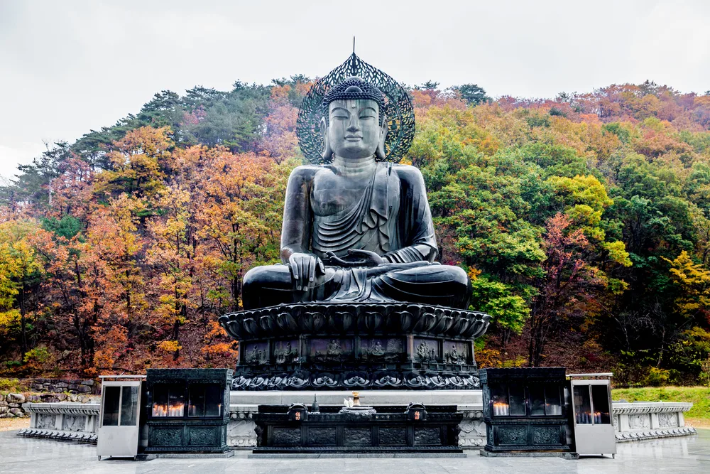 A large buddha statue at an open field with a forest in background. 
