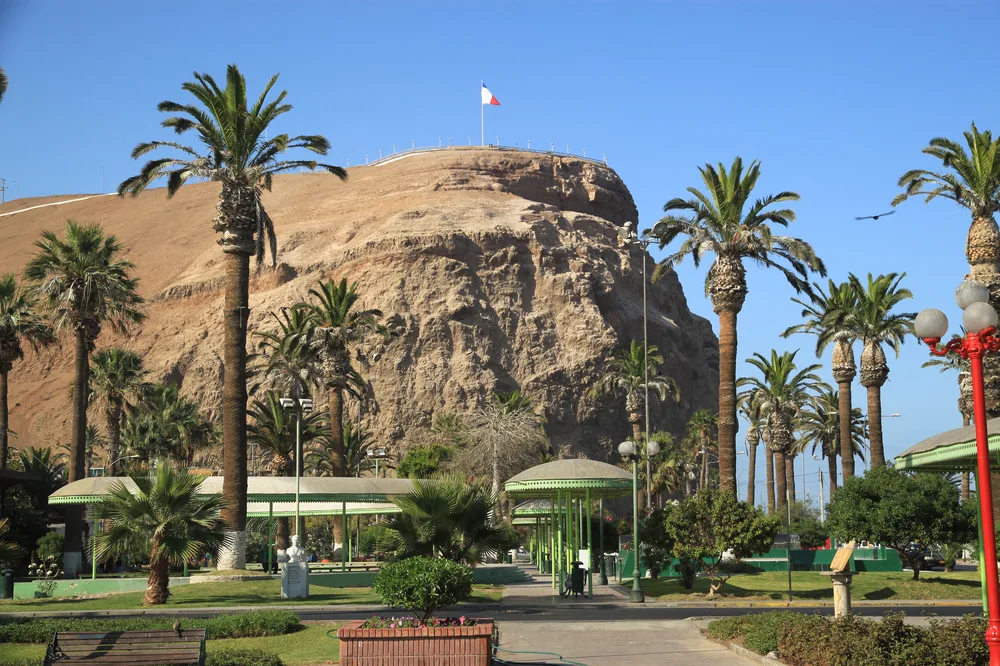 A park in Arica, home to the world's oldest mummies, an item on the list of facts about Chile, with palm trees and a huge boulder with a flag at the top is visible at a distance