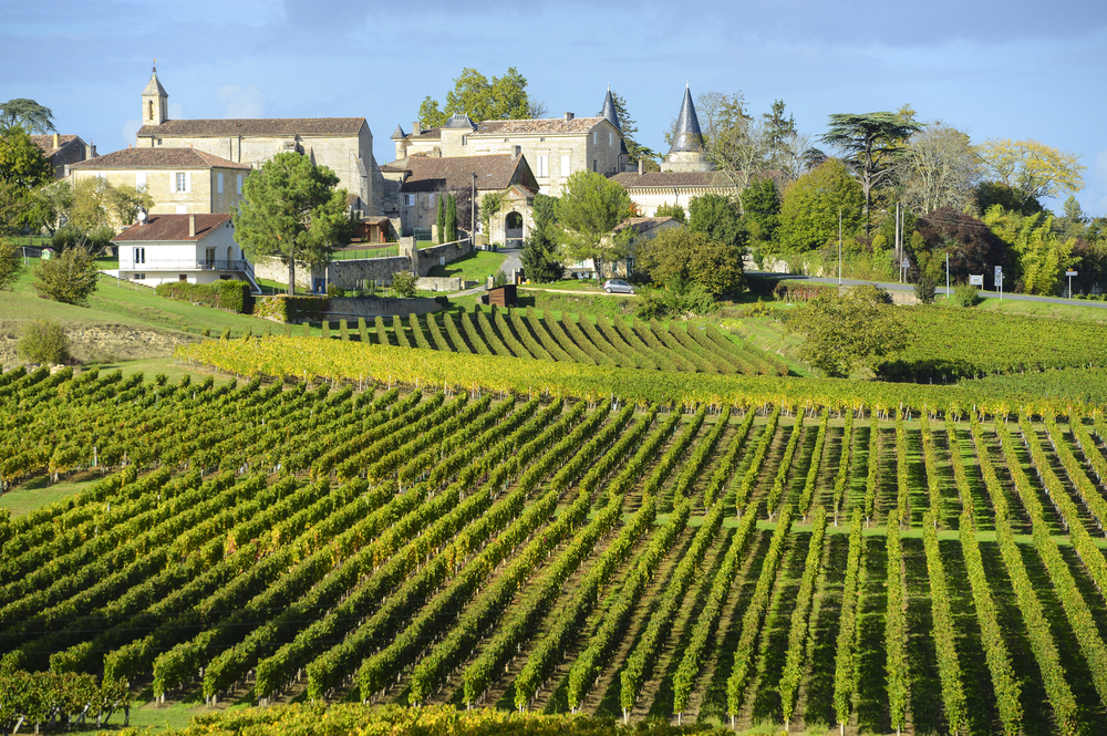A vast vineyard where grapes can be seen planted in rows, and some houses can be seen at a distance. 