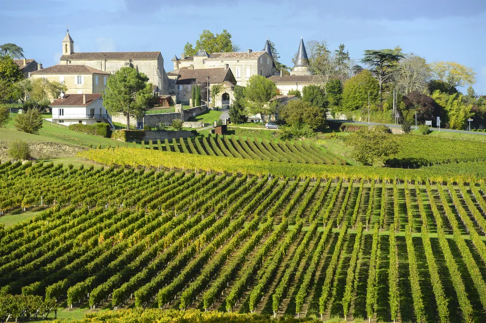 A vast vineyard in Bordeaux, one of our picks on the best areas to stay in France, where grapes can be seen planted in rows, and some houses can be seen at a distance. 