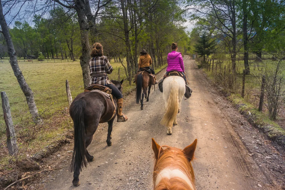 A group of people horseback riding on a small dirt road. 