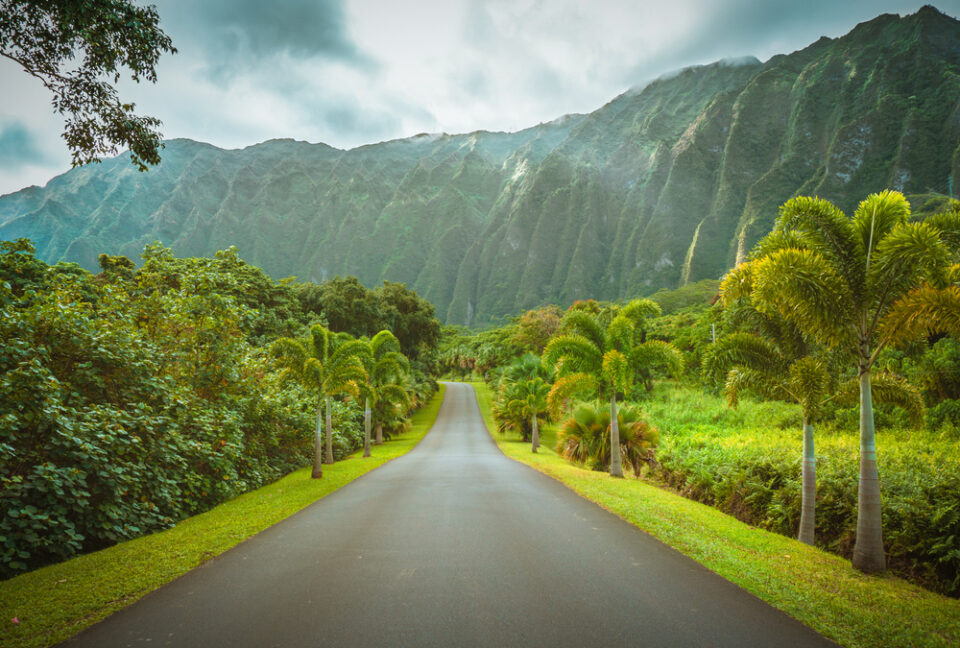 What Language Do They Speak In Hawaii 2024 Guide   Shutterstock 1833685522 960x648 