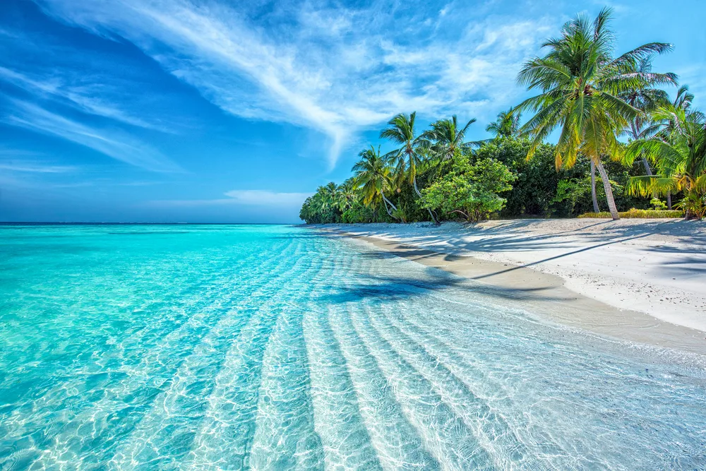 View of a tropical beach scene in the Maldives with palm trees and calm blue water for a piece detailing how long is a flight to the Maldives from the US?