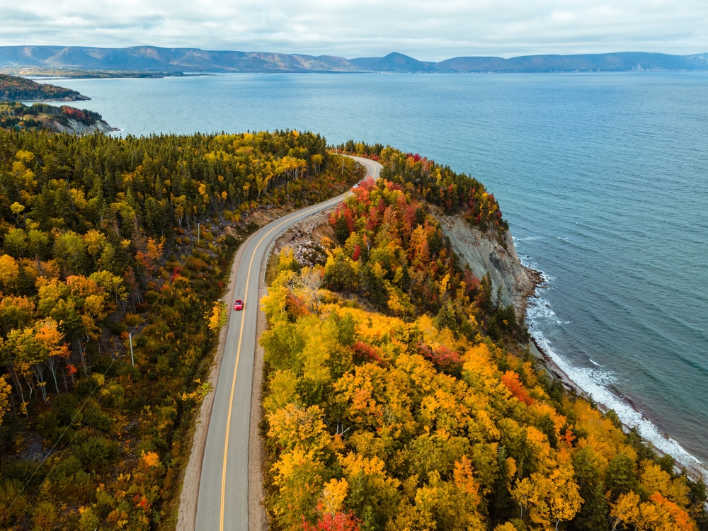 A peaceful coastal highway surrounded by trees during autumn with a blind curve ahead.