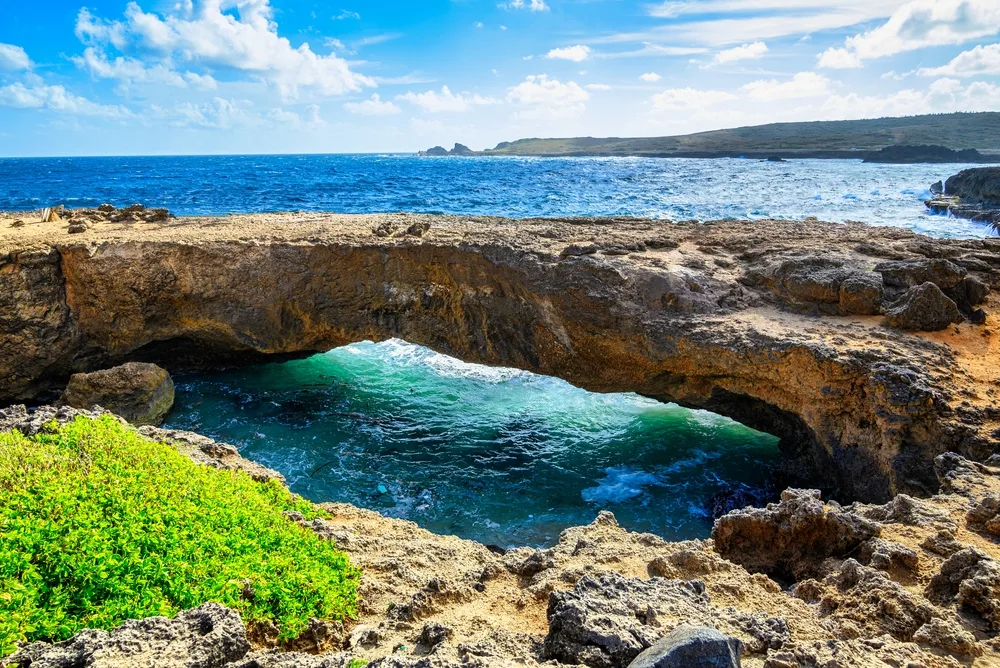 View of the Aruba Natural Bridge over the blue ocean water with greenery and rocks around on a beautiful day