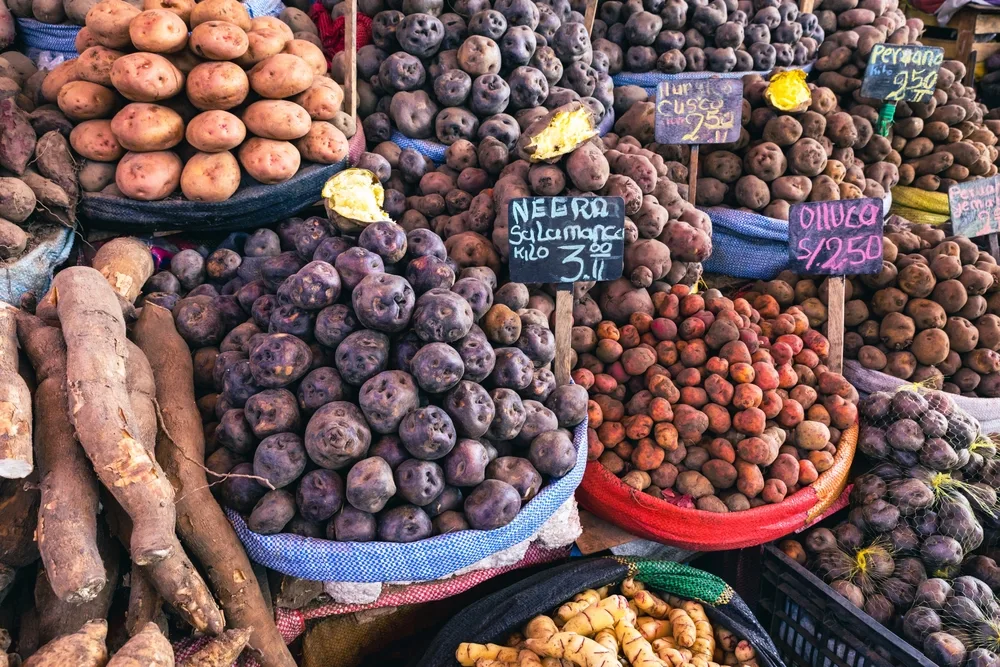 Various types of potatoes displayed on a market placed in sacks and baskets.