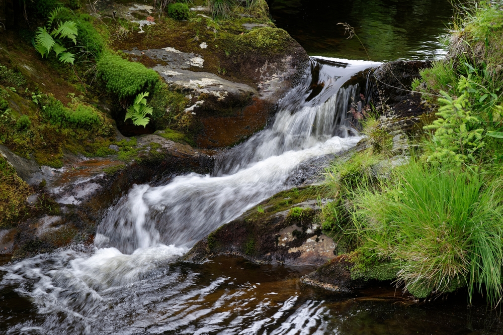A small stream of river flowing on a rock with grass on the sides. 