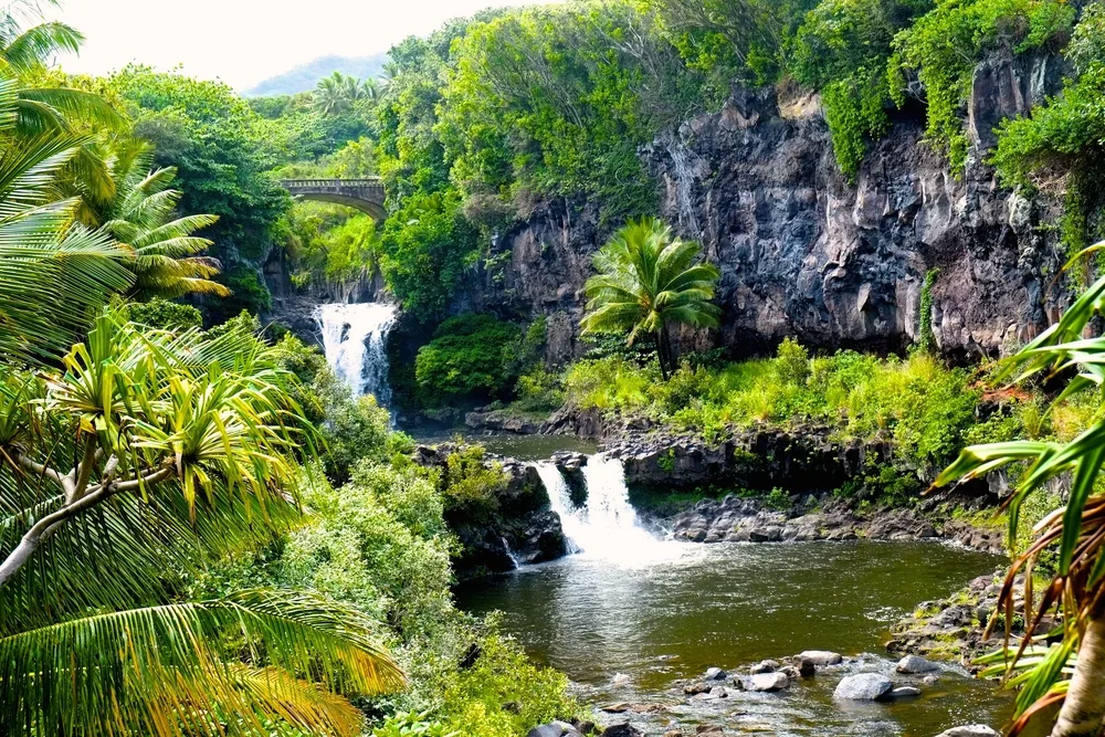 Small waterfalls surrounded by lush greenery like in Hawaii for a section explaining how long is a flight to Hawaii from the Midwest 