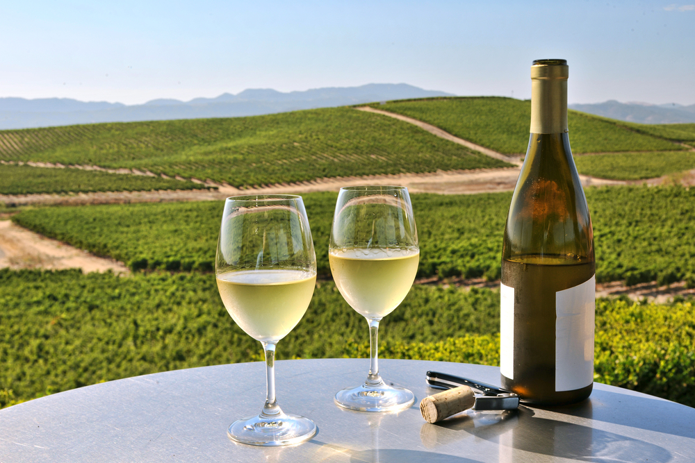 Two glasses with wine and a wine bottle placed on a small round table and in background in a vast vineyard.