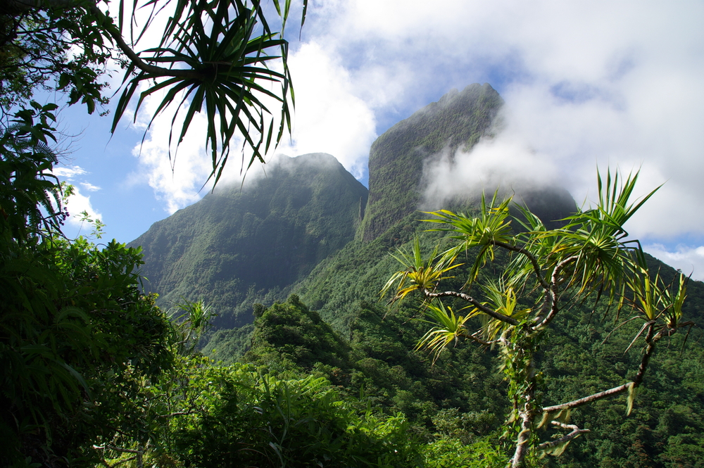 The steamy rainforests of Bora Bora with volcanic peaks in the distance in Moorea for a frequently asked questions section on how long is a flight to Bora Bora?
