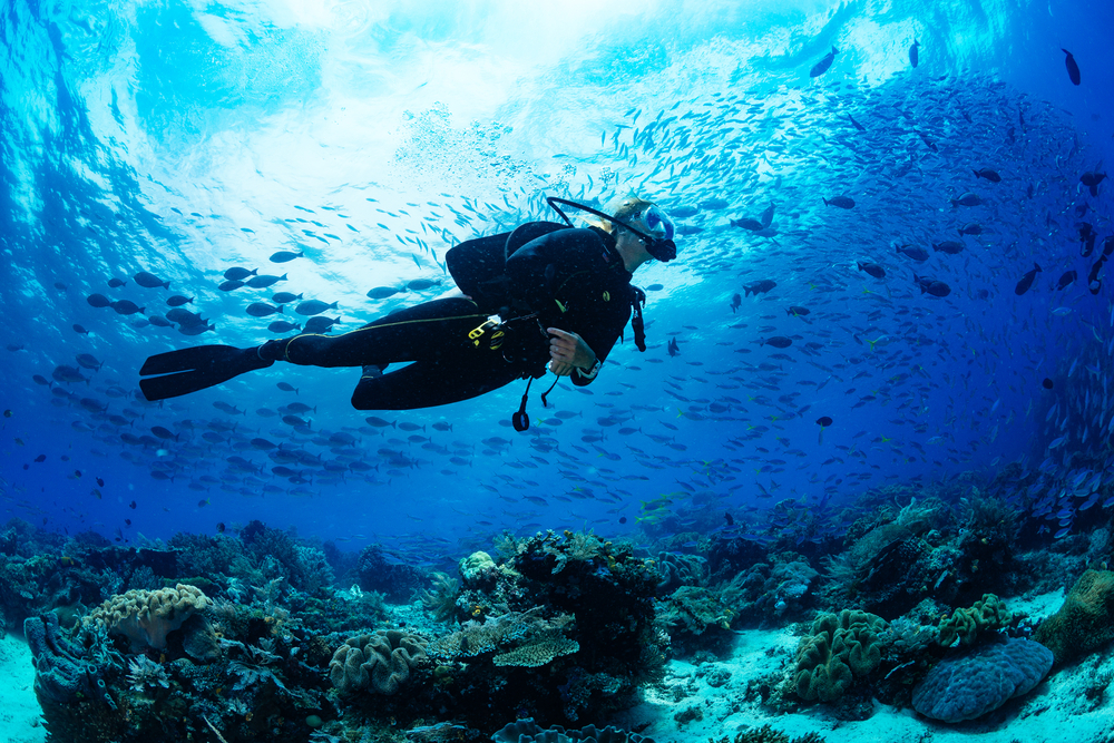 A woman can be seen SCUBA diving together with fishes, and coral reeds can be seen at the bottom of the sea. 