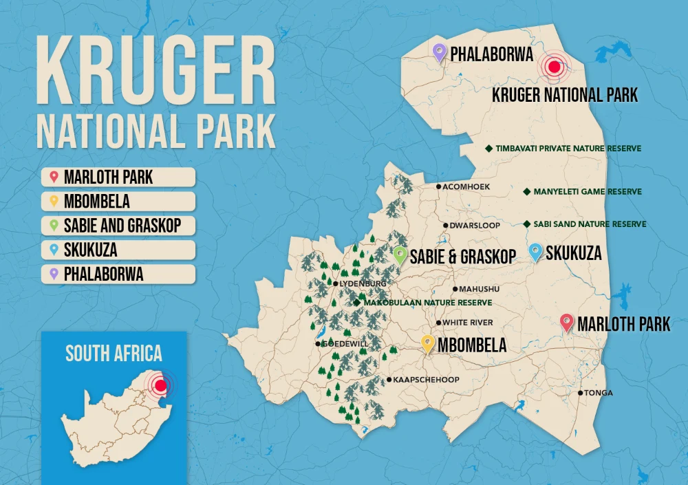Where to Stay in Kruger National Park map in vector format featuring the best areas of town