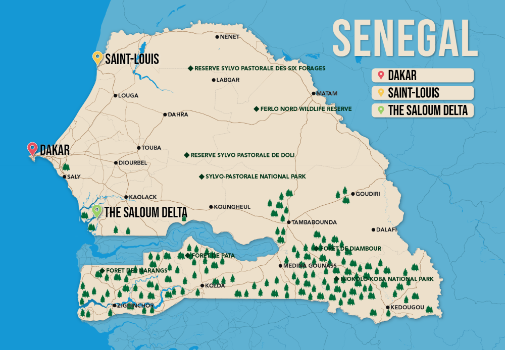 Where to Stay in Senegal map in vector format featuring the best areas of town