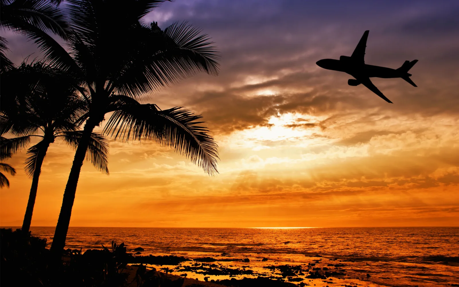 Which Airlines Fly to Hawaii? (Updated for 2024)