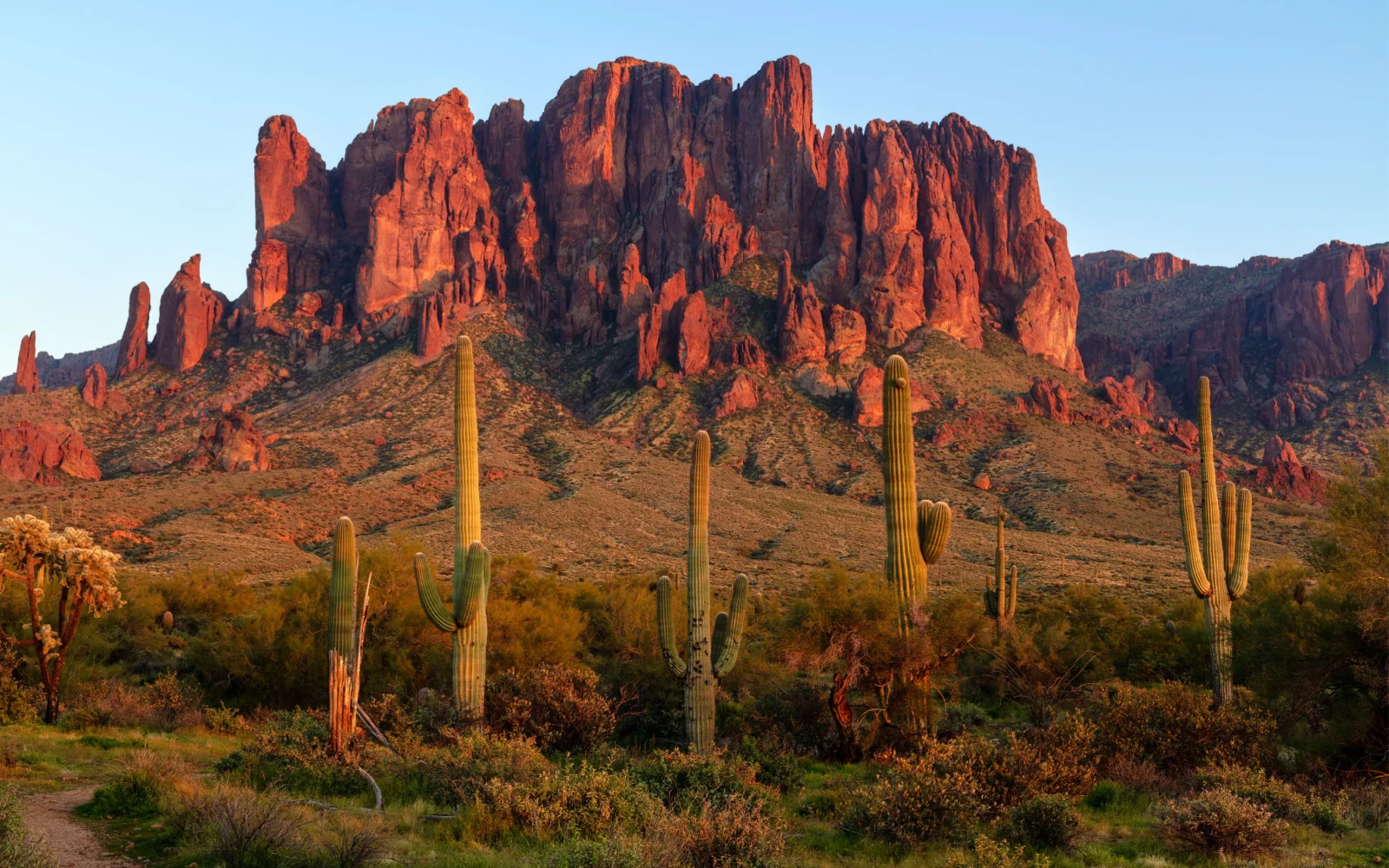 25 Interesting Facts About Arizona (Updated for 2023)