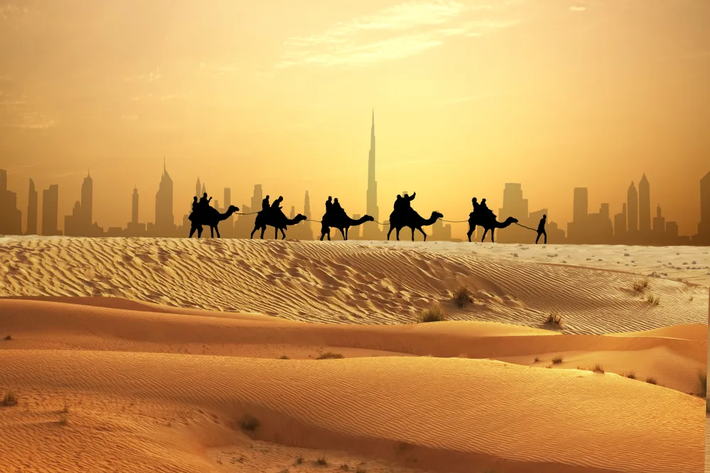 Caravan of camels making their way across the sandy desert in June, the worst overall time to visit Dubai