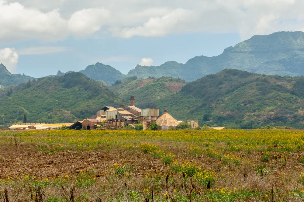 Abandoned sugar mill and plantation in Kauai shows how Hawaii industry has changed since Hawaii became a state