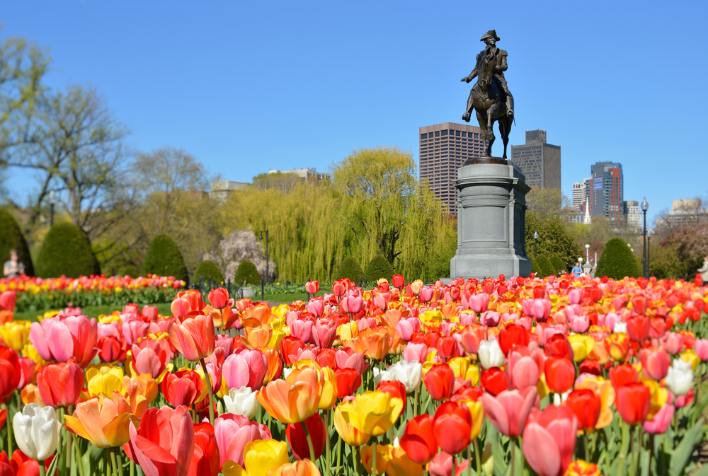 George Washington statue in Boston Public Garden surrounded by colorful tulips is a spot to visit on the first day of a weekend in Boston