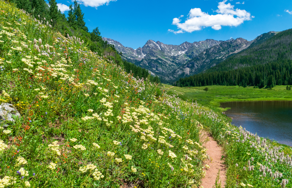 Piney Lake hills and wildflowers with mountains in the background to show what Vail, CO, one of the top summer vacation ideas in the US, looks like in the warm months