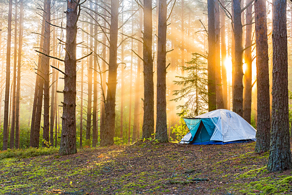 Sunrise shining through the trees in the forest where a tent can be seen during the best time to visit Acadia National Park.
