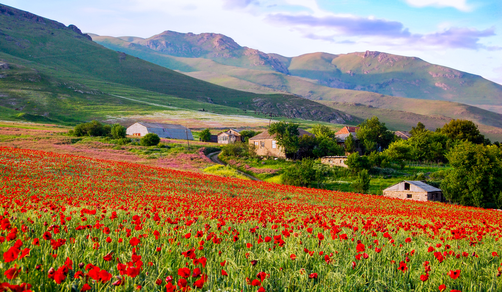 A small town near the side of the mountains where a few houses is seen with red flowers blooming during the season on the least time to time to visit Armenia.