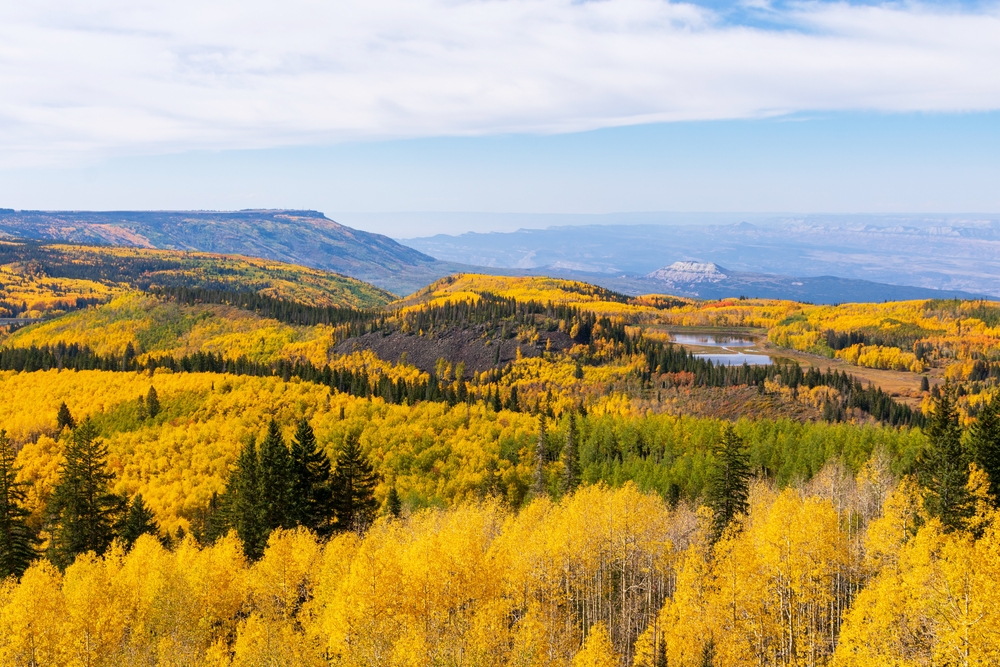 View during autumn of a vast forest and mountains. 