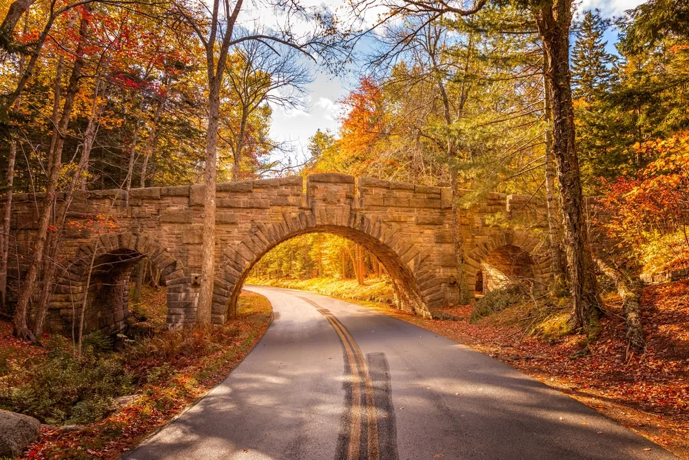 A small bridge above a road surrounded by trees during the autumn season on the best time to visit Acadia National Park.