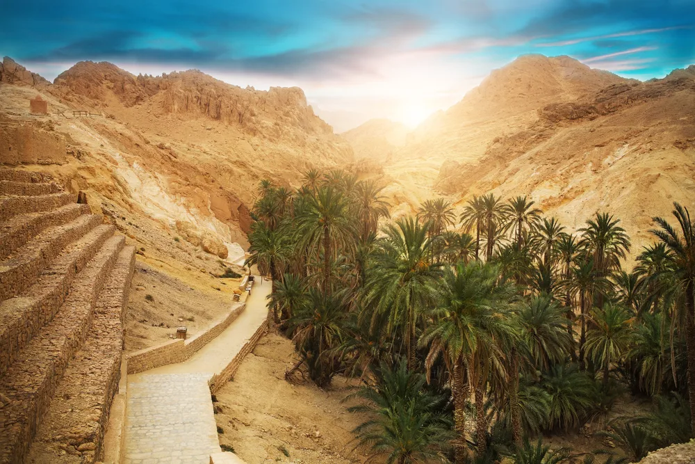 A view from the top of a desert mountain with bricks stairs and palm trees during sunset. 