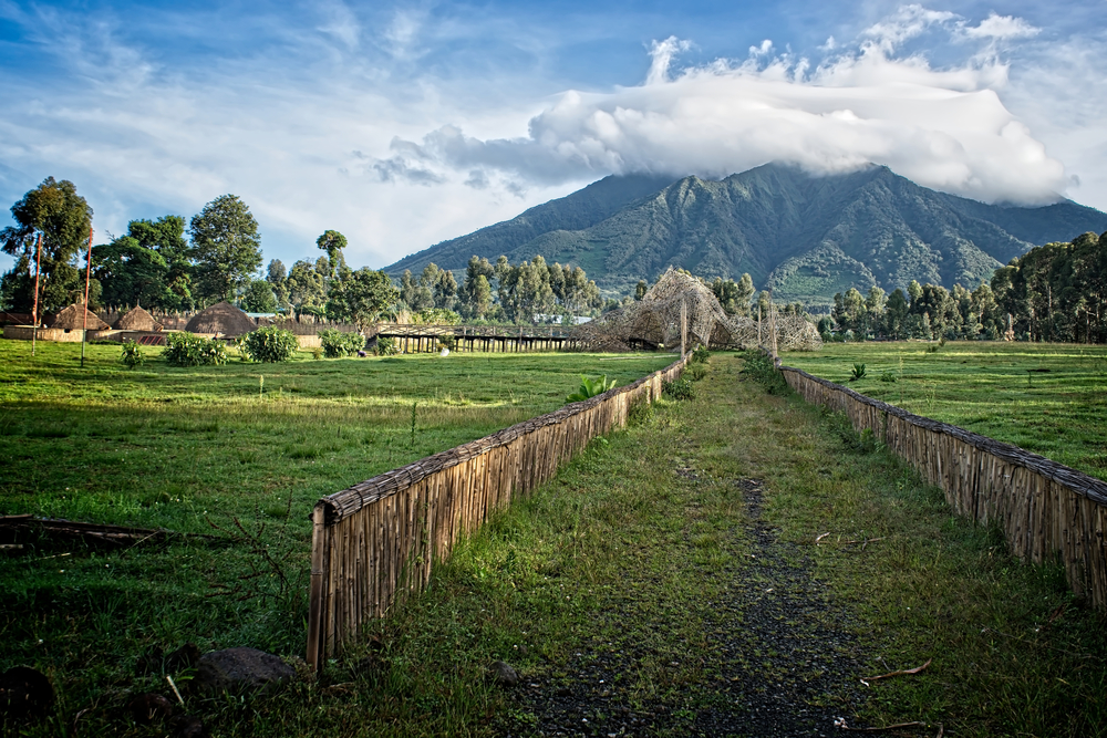 A view from the plains for a piece on where to stay in Rwanda, a pathway with bamboo fence on each side leads towards a cloudy peak mountain.