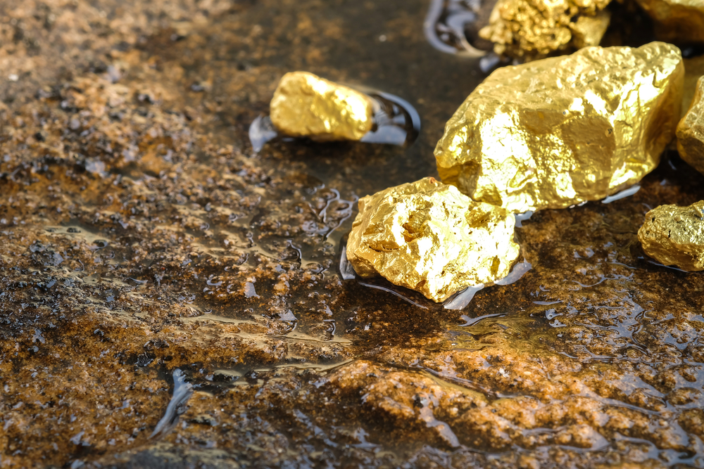 Gold nuggets on top on a wet rock. 