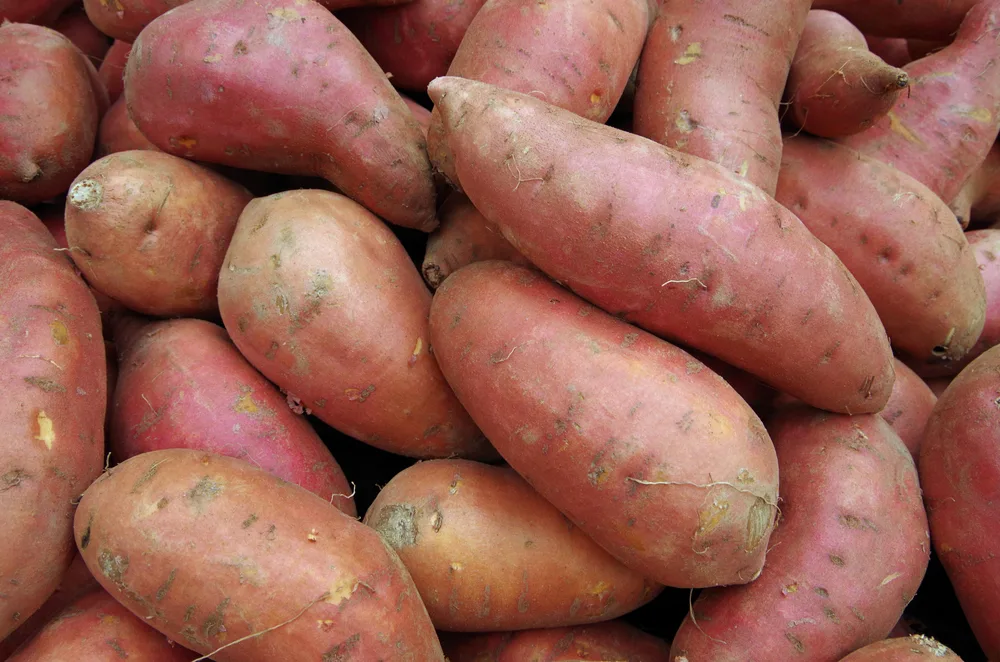 A pile of sweet potatoes in reddish color. 