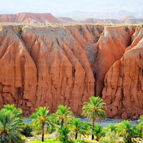 A land formation made up of orange rocks , where palm trees can be seen with green leaves during the best time to visit Algeria.