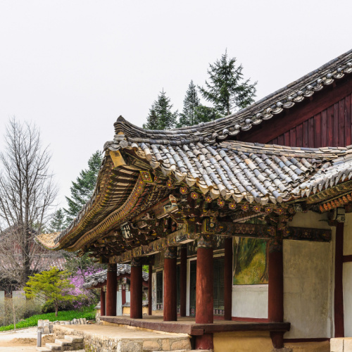 an old traditional asian structure with clay roofs, seen during the best time to visit North Korea.