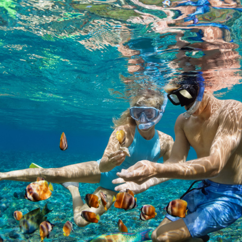 a couple interacting with the tropical fishes while snorkeling during the best time to visit Guam.