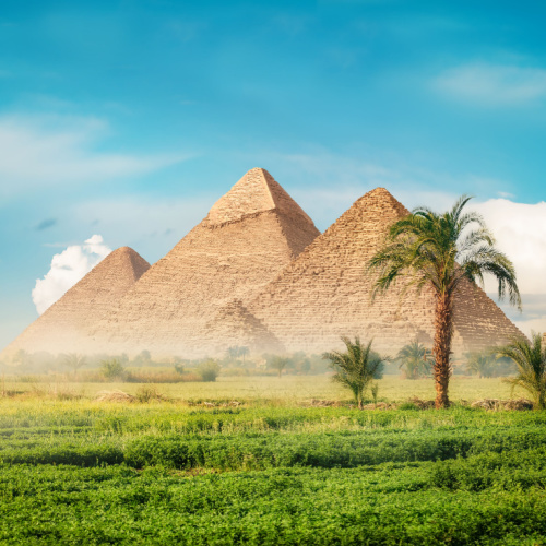 the pyramid of Egypt during a foggy early morning, where grass and palm trees can be seen during a spring season, the best time to visit Egypt.