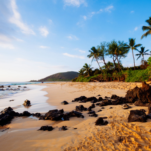 a calm beach where several rocks can be seen with palm trees during the best time to visit Hawaii.